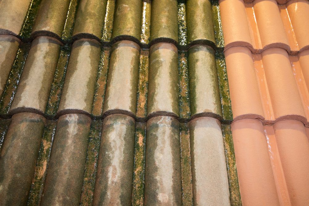 Oud vieze dakpannen laten inspecteren in Zetten